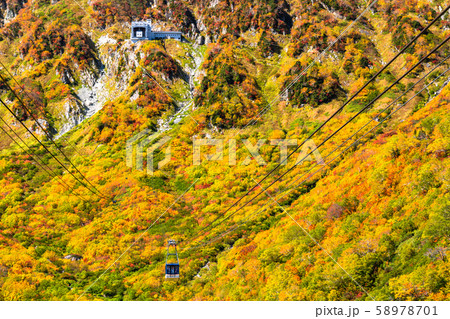 《富山県》紅葉の黒部平・立山黒部アルペンルート 《富山県》紅葉の黒部平・立山黒部アルペンルート 58978701