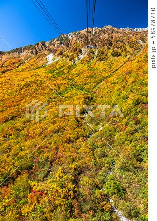 《富山県》紅葉の黒部平・立山黒部アルペンルート 58978710