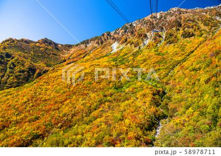 《富山県》紅葉の黒部平・立山黒部アルペンルート 58978711