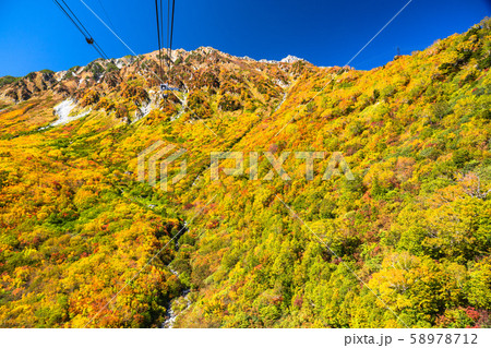 《富山県》紅葉の黒部平・立山黒部アルペンルート 58978712