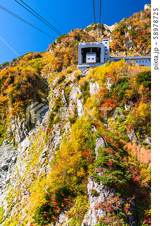 《富山県》紅葉の黒部平・立山黒部アルペンルート 《富山県》紅葉の黒部平・立山黒部アルペンルート 58978725