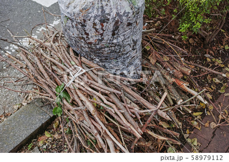 紐で縛った剪定枝とビニール袋に入った枯葉のゴミの写真素材