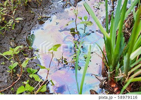 水溜りの鉄バクテリアによる皮膜 58979116
