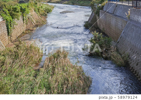 支流（和泉川）が本流（境川）に合流する川の風景 58979124