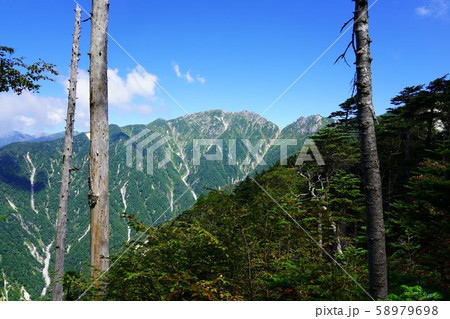 越百山登山道からの南駒ヶ岳 58979698