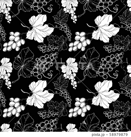Vector Grape berry healthy food. Black and white engraved ink art. Seamless background pattern. 58979879