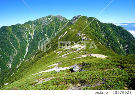 越百山方面からの仙涯嶺と南駒ヶ岳 58979928