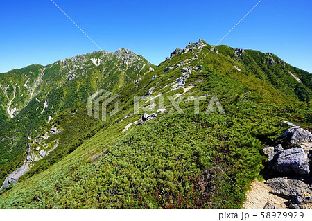 越百山方面からの仙涯嶺と南駒ヶ岳 58979929