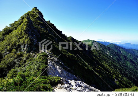 南駒ヶ岳方面からの仙涯嶺 58980243