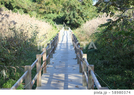 秋田城址史跡公園の木橋 秋田城址史跡公園の木橋 58980374