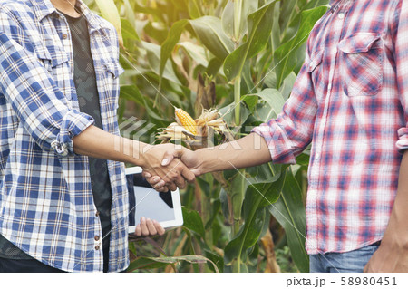 Farmers are shaking hands with their customers 58980451
