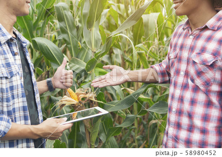 Corn farmers and their customers are reviewing the 58980452