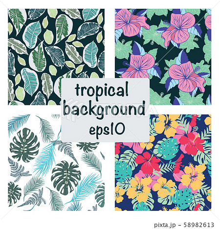 set of tropical background, exotic leaves  58982613