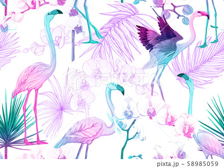 Tropical plants and flowers and birds.  Tropical plants and flowers and birds.  58985059