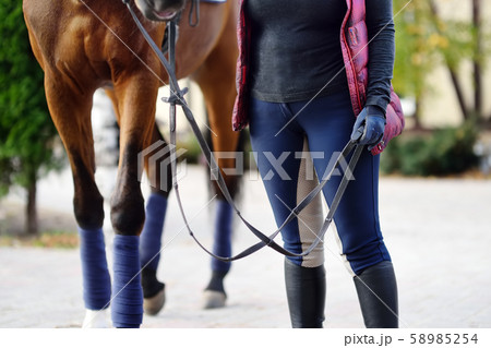 Woman rider takes his horse for training  58985254