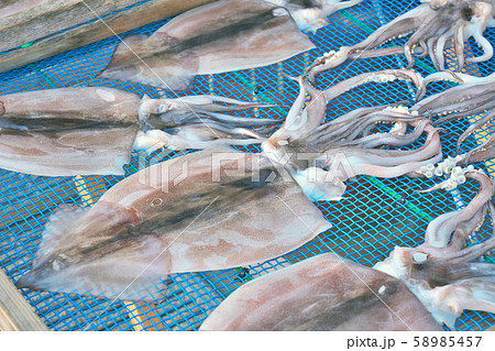 【干物 天日干し】 【干物 天日干し】 58985457