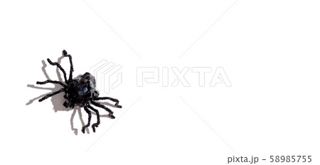 Halloween black spider Halloween black spider 58985755