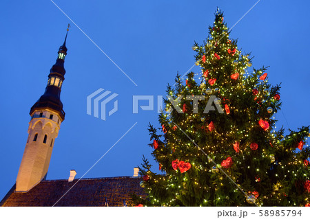 Giant Cristmas fir tree and tower of Town Hall Giant Cristmas fir tree and tower of Town Hall 58985794