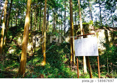 青梅丘陵ハイキングコース　辛垣城跡 58987697