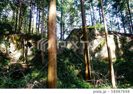 青梅丘陵ハイキングコース　辛垣城跡 58987698