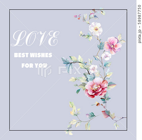 透明水彩 水彩画 花 58987750