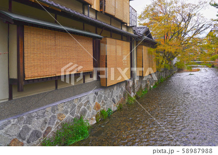 祇園の春 58987988