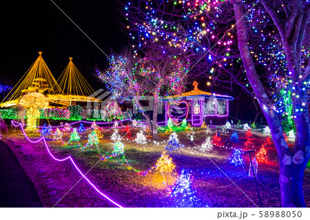 山梨 山中湖花の都公園 イルミネーション 山梨 山中湖花の都公園 イルミネーション 58988050