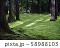 苔生す庭園 58988103