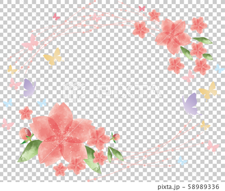桜 花 4月 フレーム 枠 飾り枠 桜の花 花びら 満開 蝶のイラスト素材 5336