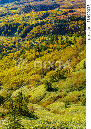 芳ヶ平湿原の紅葉・日本国道標高最高地点から 58990038