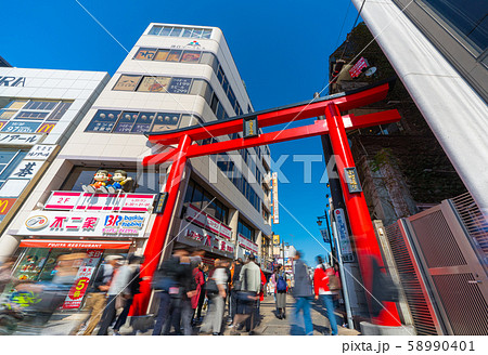 日本の鎌倉都市景観 小町通りなどを望む 58990401