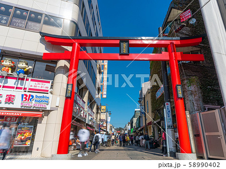 日本の鎌倉都市景観 小町通りなどを望む 58990402