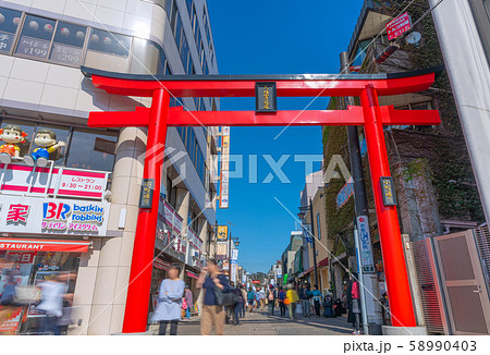 日本の鎌倉都市景観 小町通りなどを望む 58990403