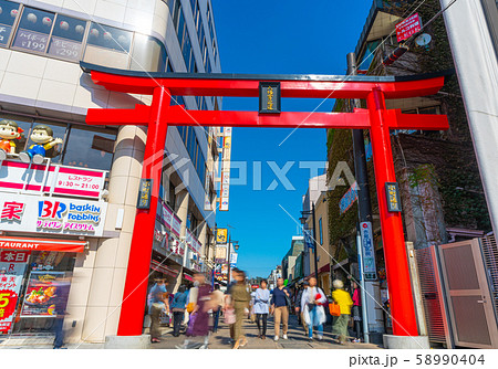 日本の鎌倉都市景観 小町通りなどを望む 日本の鎌倉都市景観 小町通りなどを望む 58990404