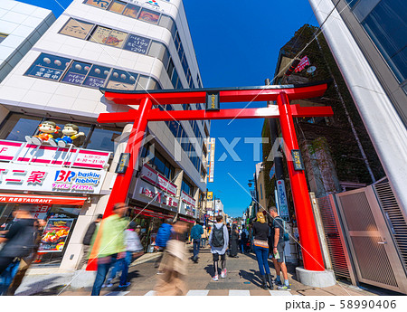日本の鎌倉都市景観 小町通りなどを望む 58990406