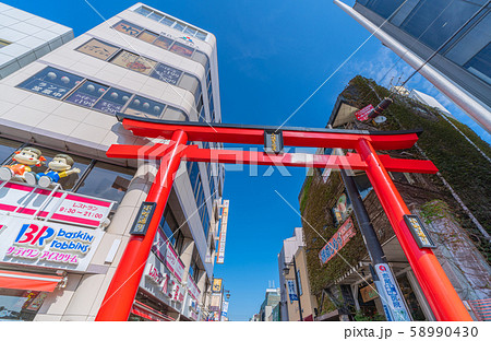 日本の鎌倉都市景観 小町通りなどを望む 日本の鎌倉都市景観 小町通りなどを望む 58990430