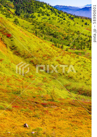 志賀草津高原ルートからの景色【群馬側】 58990601