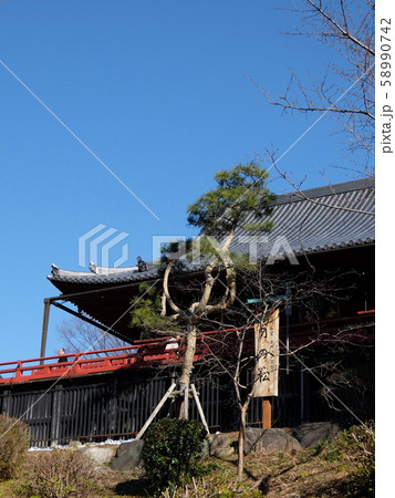 上野 寛永寺 清水観音堂の「月の松」 58990742