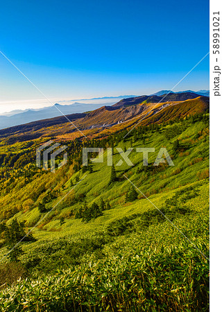 芳ヶ平湿原と白根山・日本国道標高最高地点から 58991021