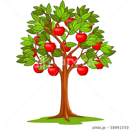 Cartoon apple tree isolated on white background - Stock Illustration  [58991550] - PIXTA
