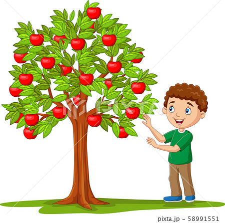 Cartoon boy picking apples from apple tree - Stock Illustration [58991551]  - PIXTA