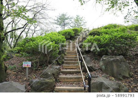 戸山公園内の箱根山　　東京都新宿区 58991793