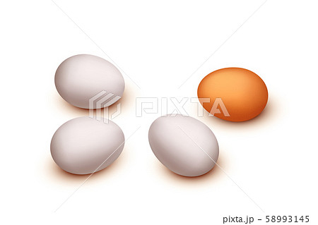 picture of egg group 58993145