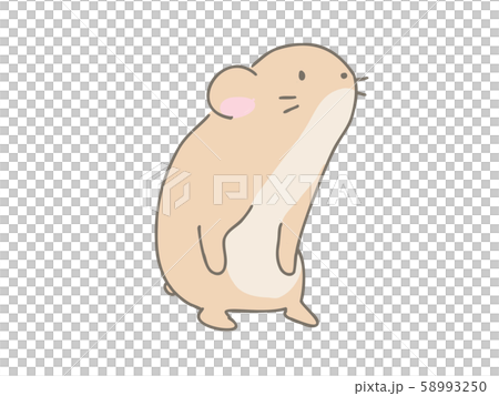 かわいいハムスターのイラスト素材