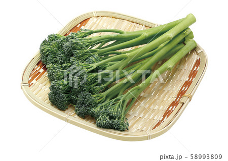 スティックセニョール03（パス付） 58993809