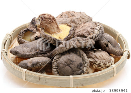 椎茸　茸 58993941