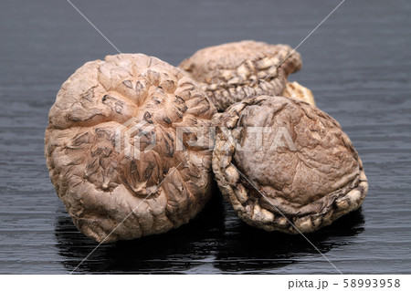 椎茸　茸 58993958