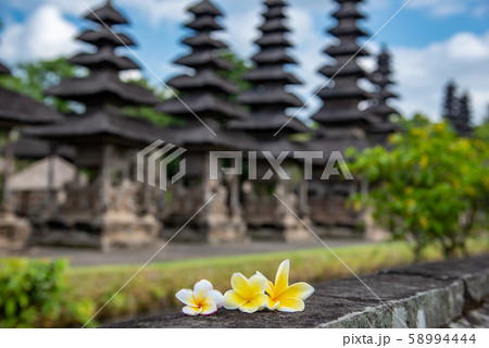 バリ島 世界遺産 タマンアユン寺院のメル バリ島を代表する花 フランジパニ プルメリアの写真素材