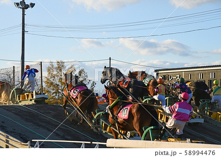 ばんえい競馬 ばんえい競馬 58994476