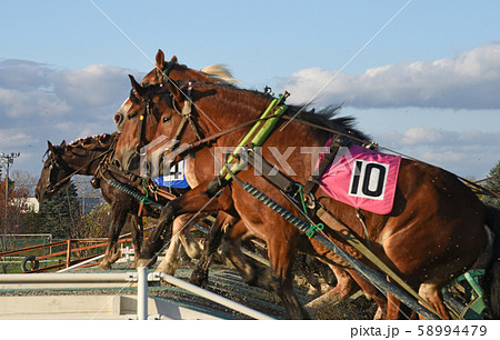 ばんえい競馬 58994479